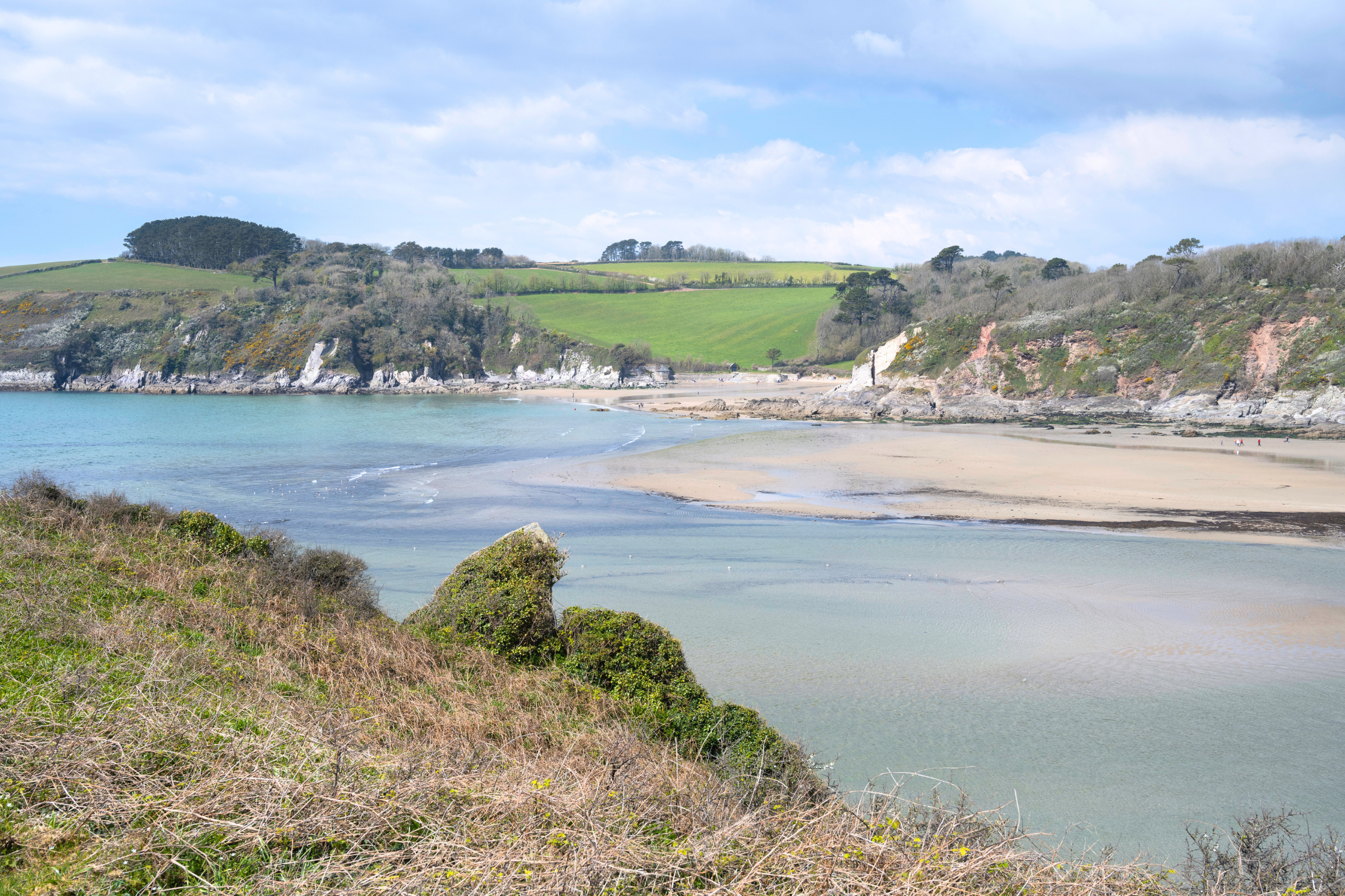 45_Mothecombe[1].webp